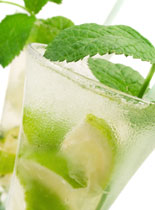 De cocktails van 't Dak